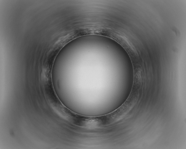 X0000111010218200906191618