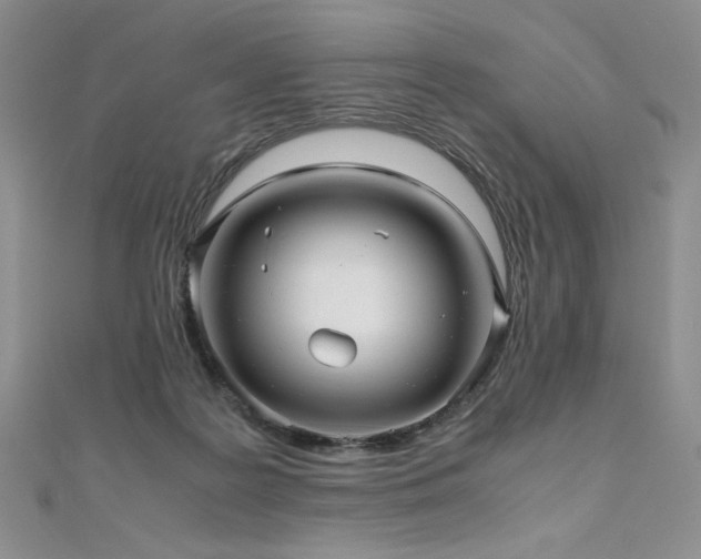 X0000111010219200906191618