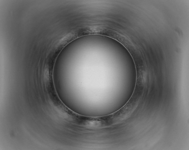 X0000111010220200906191618