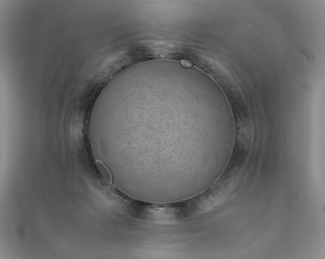 X0000111010221200906191618