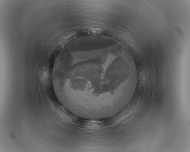 X0000111010222200906191618