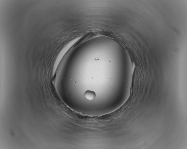X0000111010223200906191618