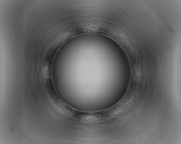 X0000111010224200906191618