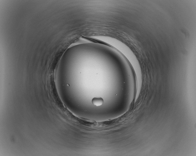 X0000111010225200906191618