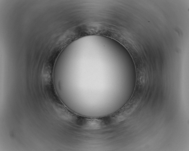 X0000111010226200906191618