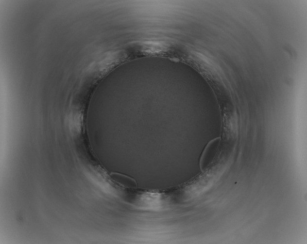 X0000111010227200906191618