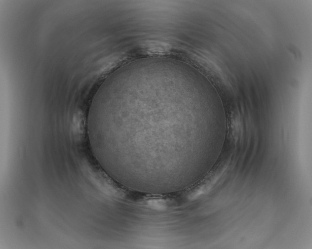 X0000111010228200906191618