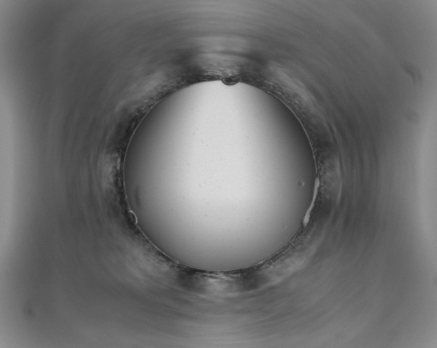 X0000111010229200906191618