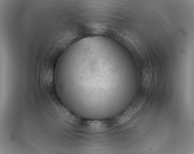 X0000111010230200906191618