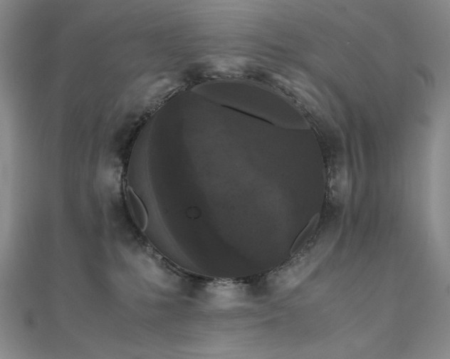 X0000111010231200906191618