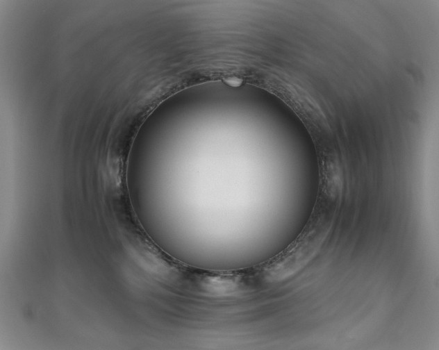 X0000111010232200906191618