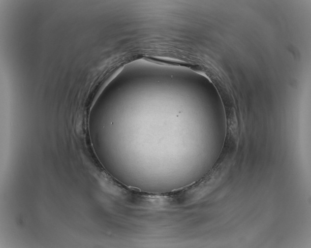 X0000111010233200906191618