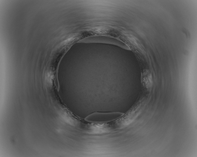 X0000111010235200906191618