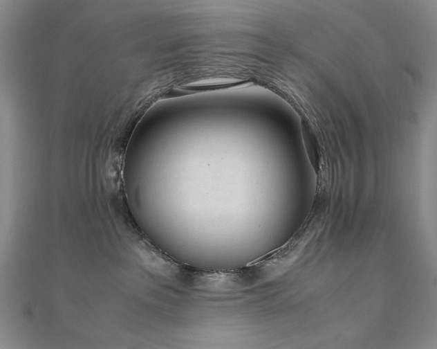 X0000111010237200906191618
