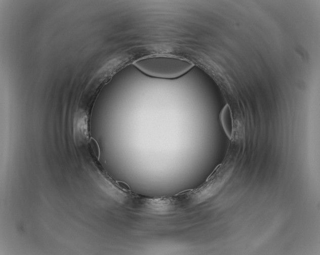 X0000111010238200906191618