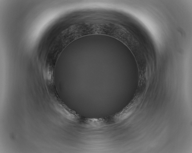 X0000111010239200906191618