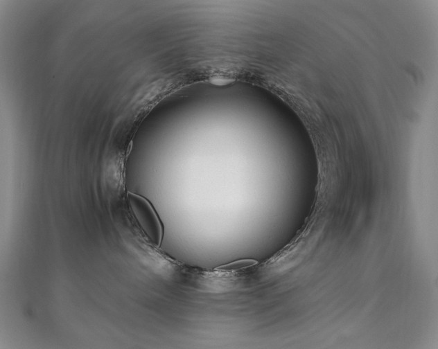 X0000111010240200906191618