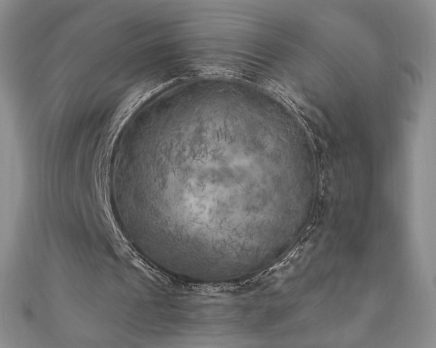 X0000111010241200906191617