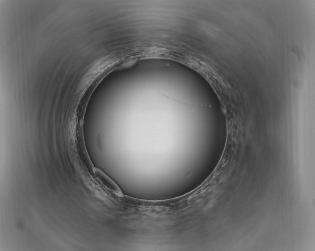 X0000111010242200906191617