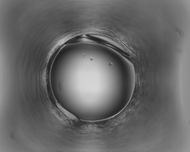 X0000111010244200906191617