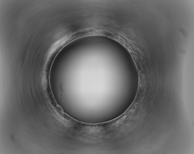 X0000111010245200906191617
