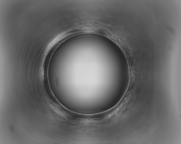 X0000111010246200906191617