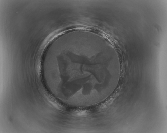 X0000111010247200906191617