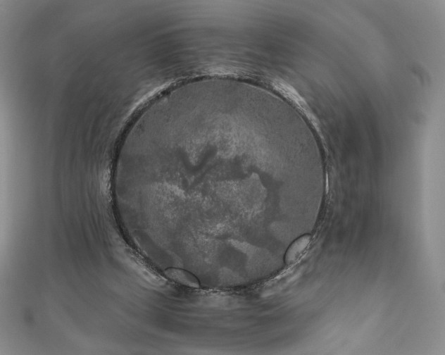 X0000111010249200906191617