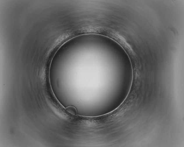 X0000111010250200906191617