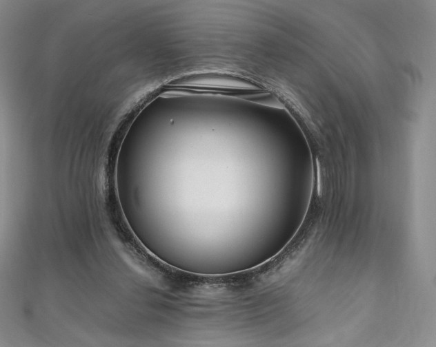 X0000111010252200906191617