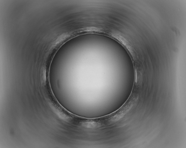 X0000111010253200906191617