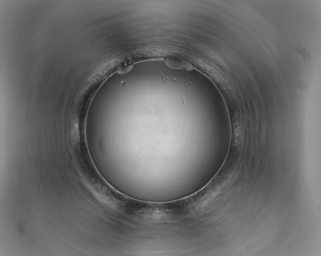 X0000111010254200906191617