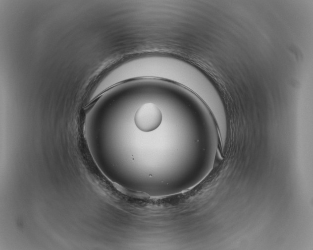 X0000111010256200906191617