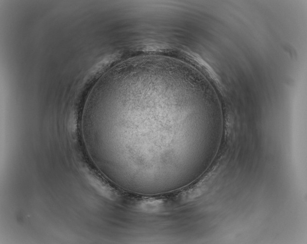 X0000111010257200906191617
