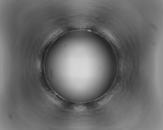 X0000111010258200906191618