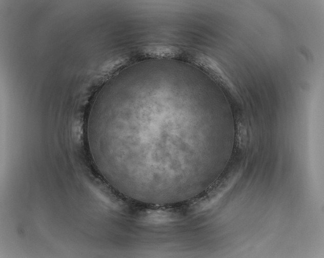 X0000111010259200906191618