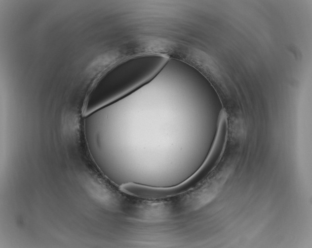 X0000111010260200906191618