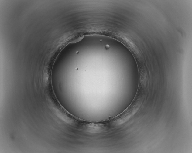 X0000111010261200906191618