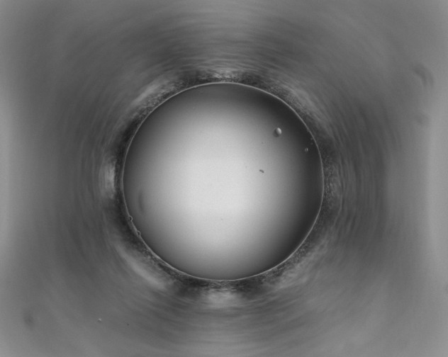 X0000111010262200906191618