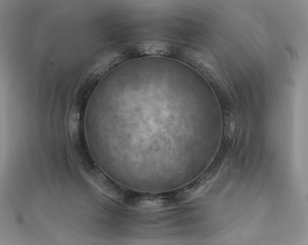 X0000111010263200906191618