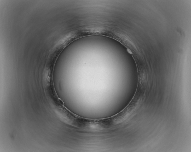 X0000111010264200906191618