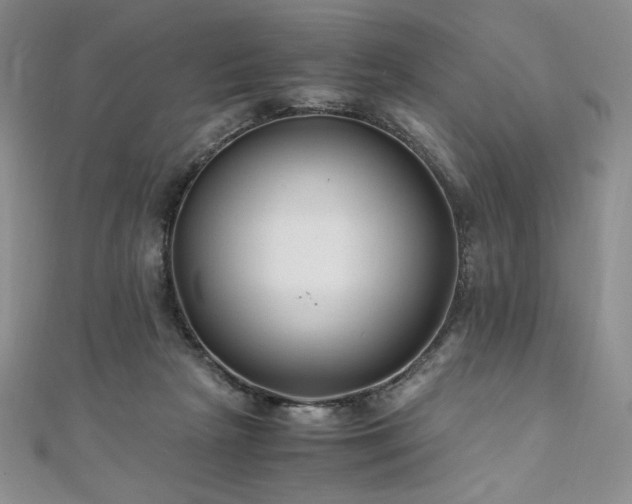 X0000111010265200906191618
