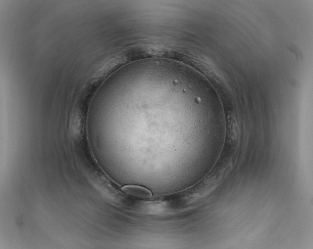 X0000111010266200906191618