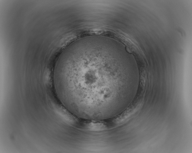 X0000111010270200906191618