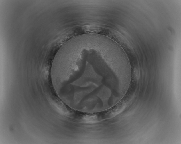 X0000111010271200906191618