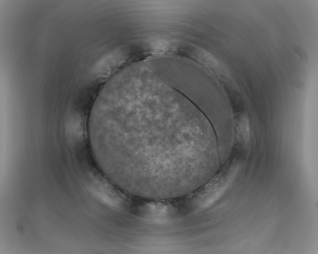 X0000111010272200906191618