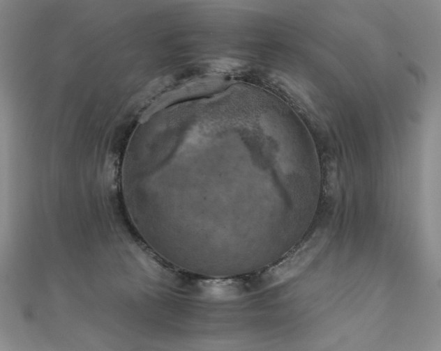 X0000111010273200906191618
