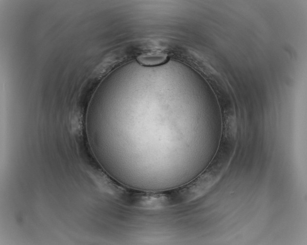 X0000111010274200906191618