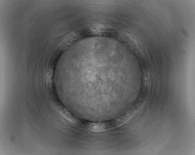 X0000111010275200906191618
