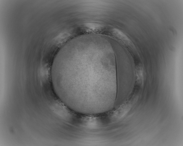 X0000111010276200906191618